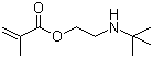2-(tert-Butylamino)ethyl methacrylate.png
